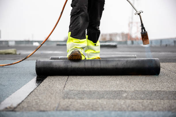 Best Asphalt Shingles Roofing  in Trinity, TX